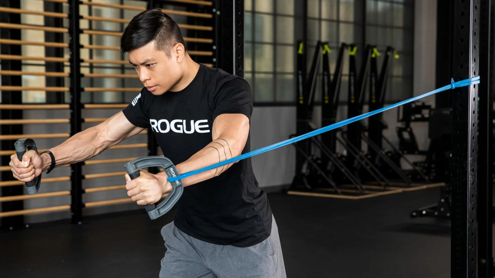 Rogue Fitness Rogue Band Handle - Image 3