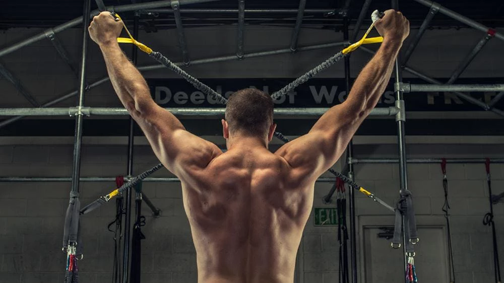 Crossover Symmetry Shoulder System - Image 5