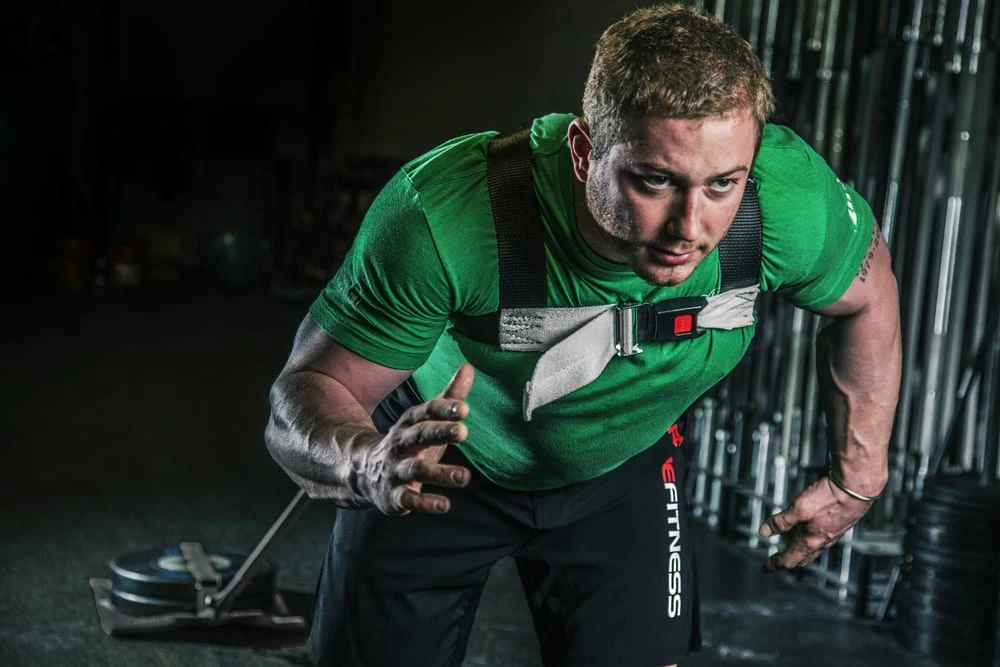 Spud Inc Black Track Harness - Image 3