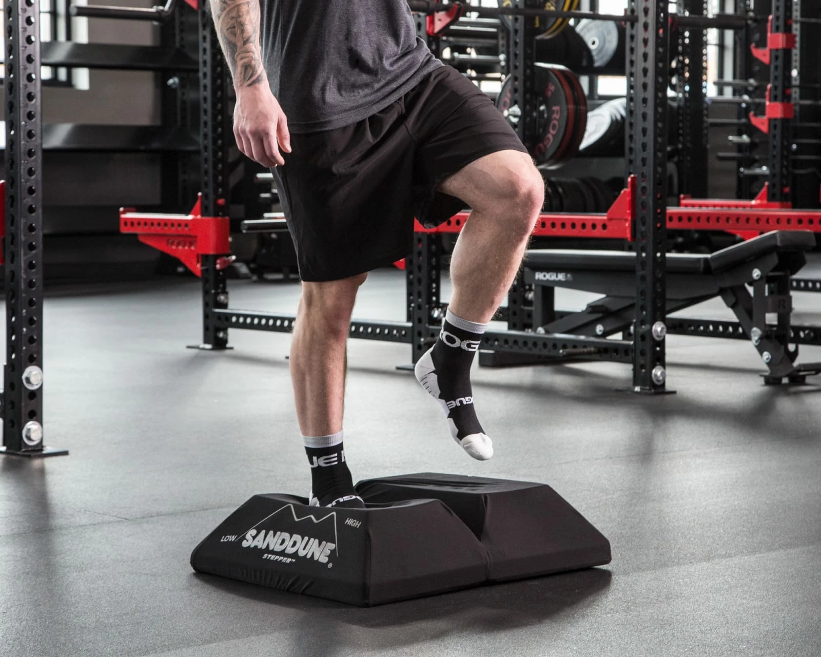 Sanddune Stepper The Sanddune Power Stepper - Image 3