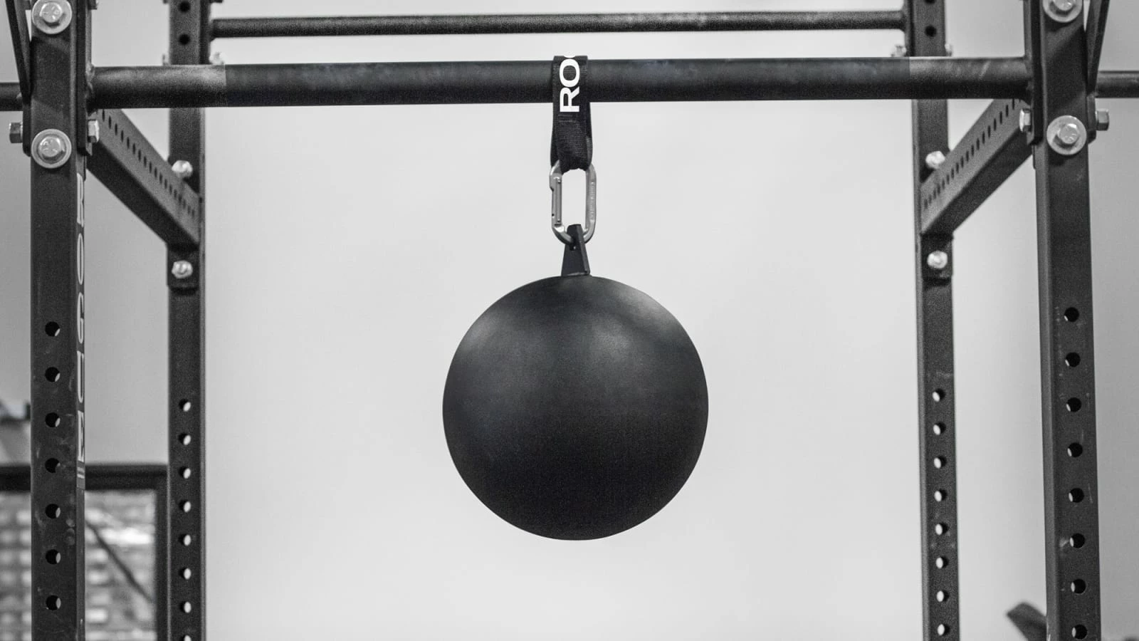 Rogue Fitness Rogue 12" Pull-up Globe