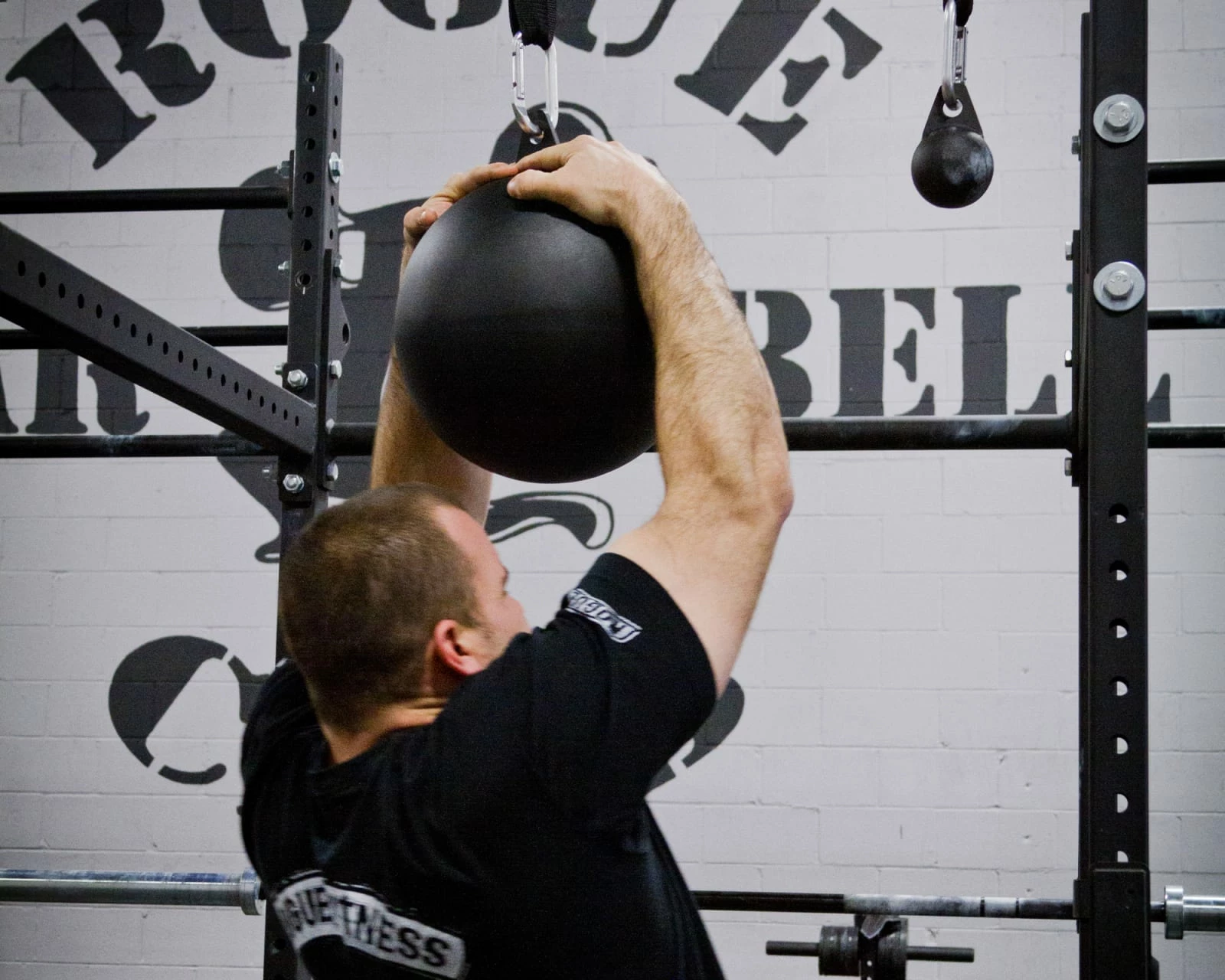 Rogue Fitness Rogue 12" Pull-up Globe - Image 2